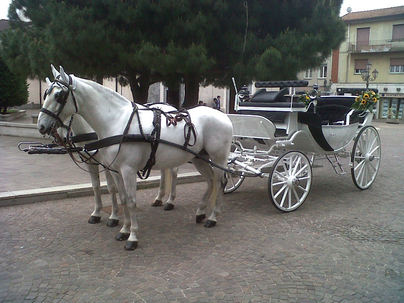 Noleggio carrozza matrimoni Milano affitto carrozza con cavalli bianchi Noleggio carrozza matrimoni Milano affitto carrozza con cavalli bianchi